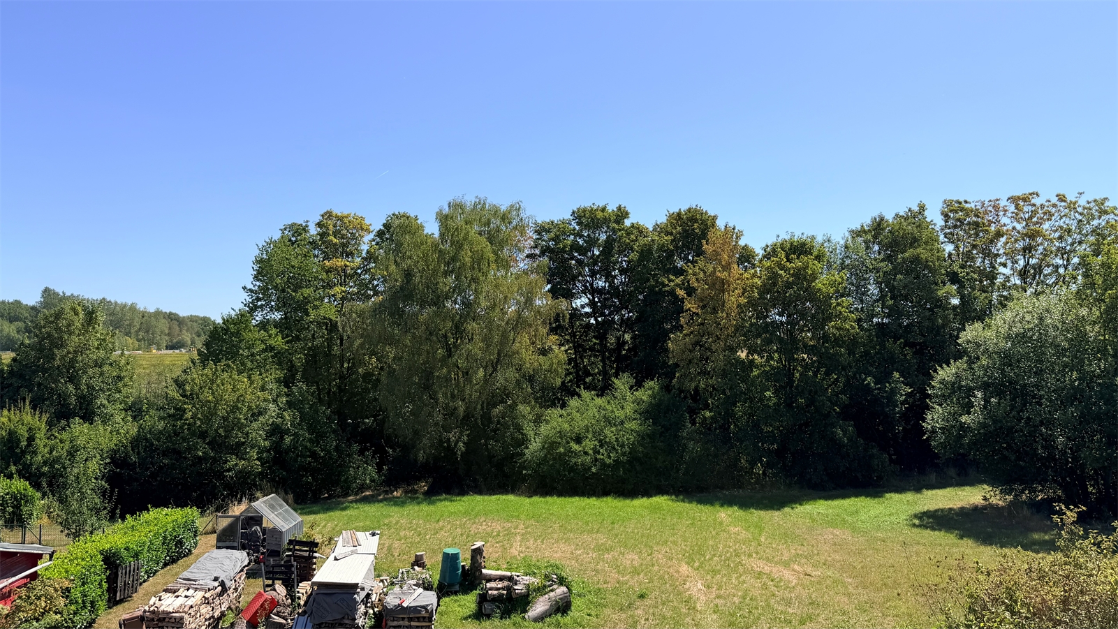 Fernblick